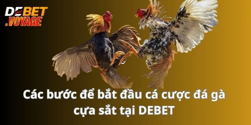 Đá Gà Cựa Sắt - Sân Chơi Kịch Tính Hấp Dẫn Không Thể Bỏ Lỡ 3 Các bước để bắt đầu cá cược đá gà cựa sắt tại DEBET