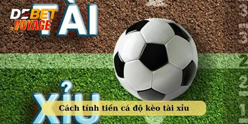 Hướng dẫn chi tiết cách tính tiền cá độ cho người mới 3 Cách tính tiền cá độ kèo cược tài xỉu