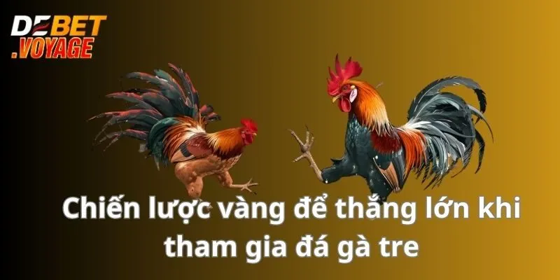Đá Gà Tre - Chiến Lược Đặt Cược Hiệu Quả Cho Bet Thủ 3 Chiến lược vàng để thắng lớn khi tham gia đá gà tre
