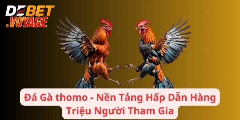 Đá Gà thomo - Nền Tảng Hấp Dẫn Hàng Triệu Người Tham Gia
