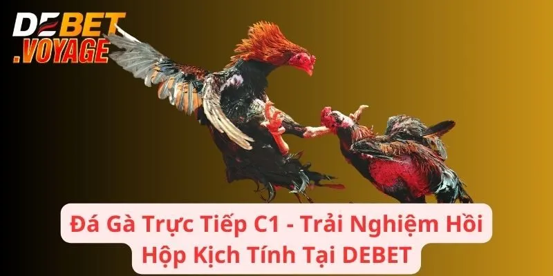 Đá Gà Trực Tiếp C1 - Trải Nghiệm Hồi Hộp Kịch Tính Tại DEBET