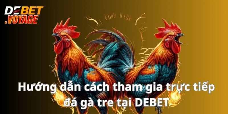 Đá Gà Tre - Chiến Lược Đặt Cược Hiệu Quả Cho Bet Thủ 2 Hướng dẫn cách tham gia trực tiếp đá gà tre tại DEBET