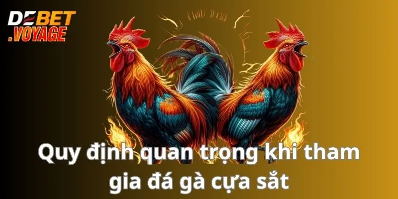 Đá Gà Cựa Sắt - Sân Chơi Kịch Tính Hấp Dẫn Không Thể Bỏ Lỡ 1 Quy định quan trọng khi tham gia đá gà cựa sắt