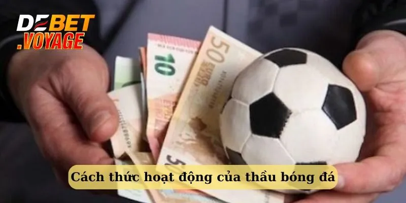 Thầu bóng đá là gì? Tất tần tật những điều Debet chia sẻ 2 Cách thức hoạt động của thầu cá độ bóng đá