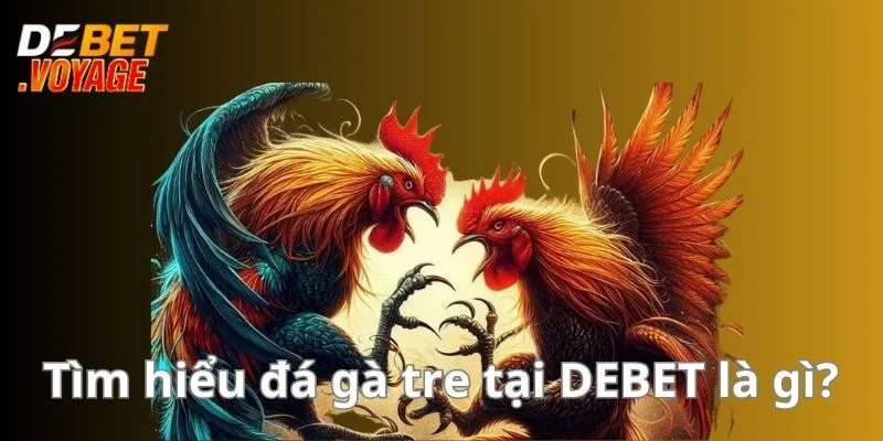 Đá Gà Tre - Chiến Lược Đặt Cược Hiệu Quả Cho Bet Thủ 1 Tìm hiểu đá gà tre tại DEBET là gì?