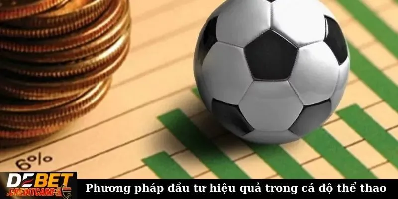 Cách áp dụng bankroll management trong cá cược thể thao? 3 Phương pháp đầu tư hiệu quả trong cá độ thể thao
